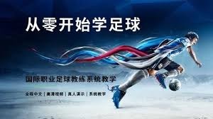 捷克队与南非队世界杯小组赛精彩对决